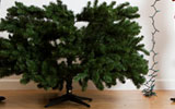 Find your holiday recycle solution for christmas trees