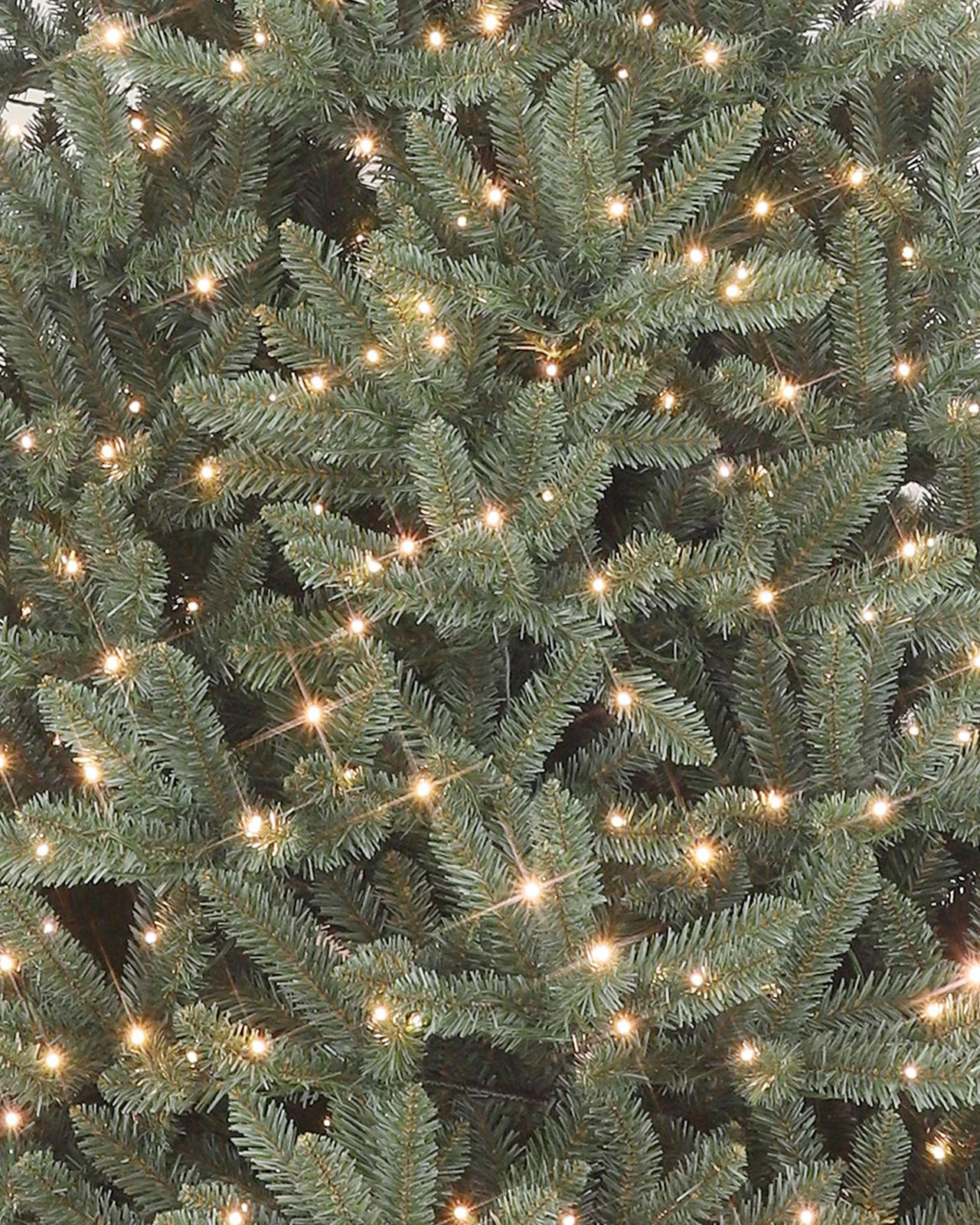 Pre-Lit Blue Spruce