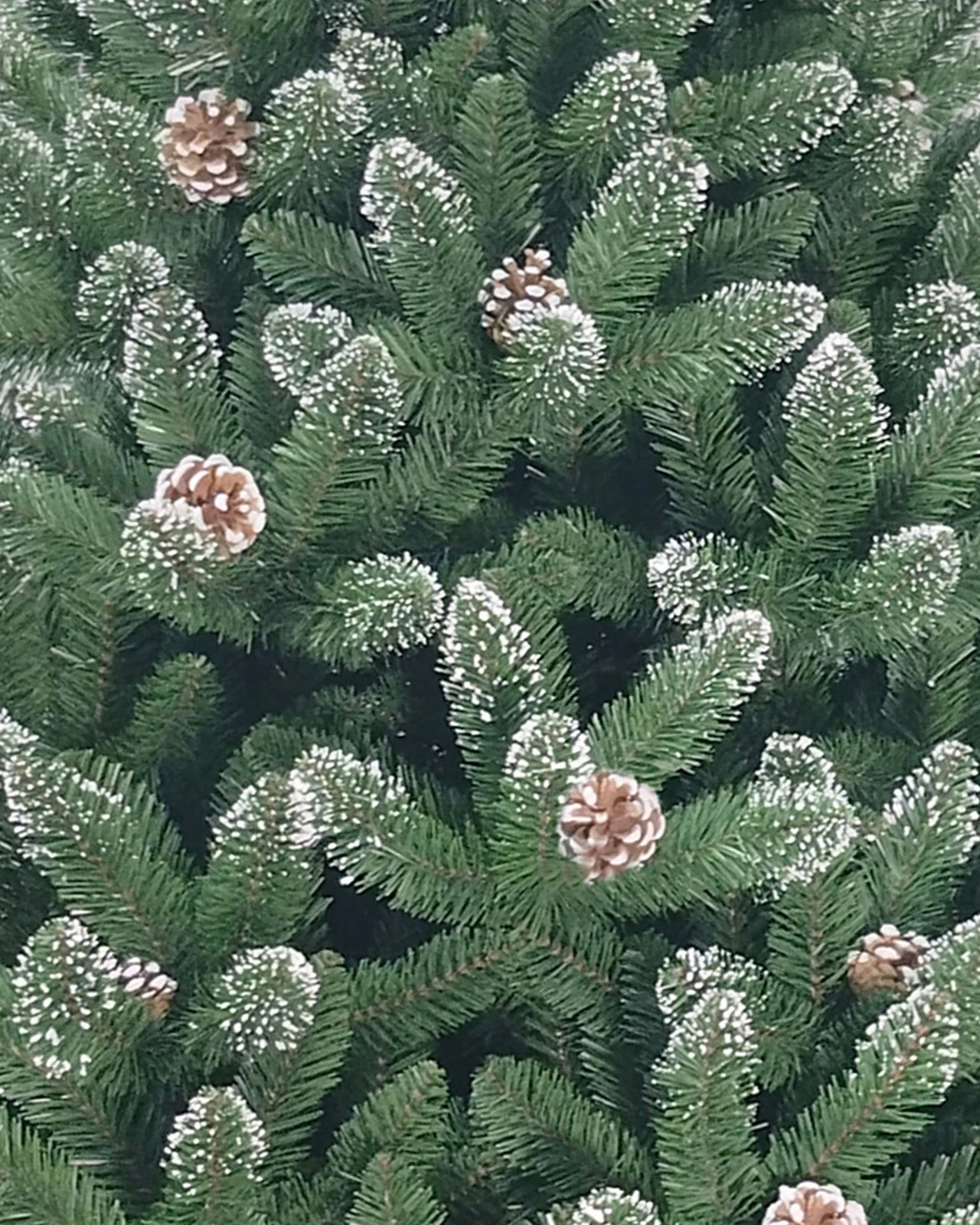 Pre-Lit Frosted Spruce w/ Pinecones